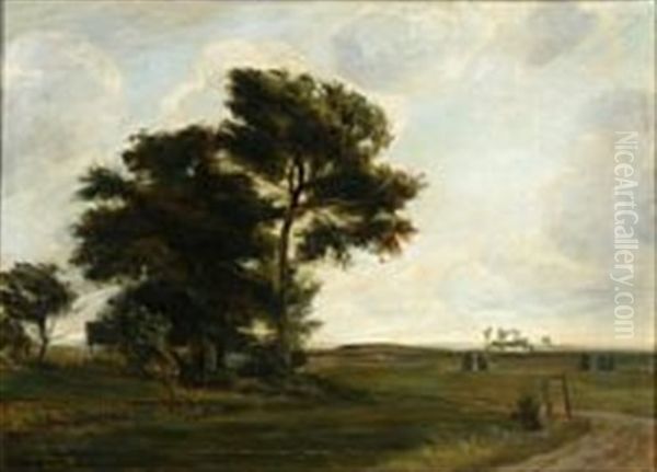 Landscape With Tall Trees In Stormy Weather - view 1