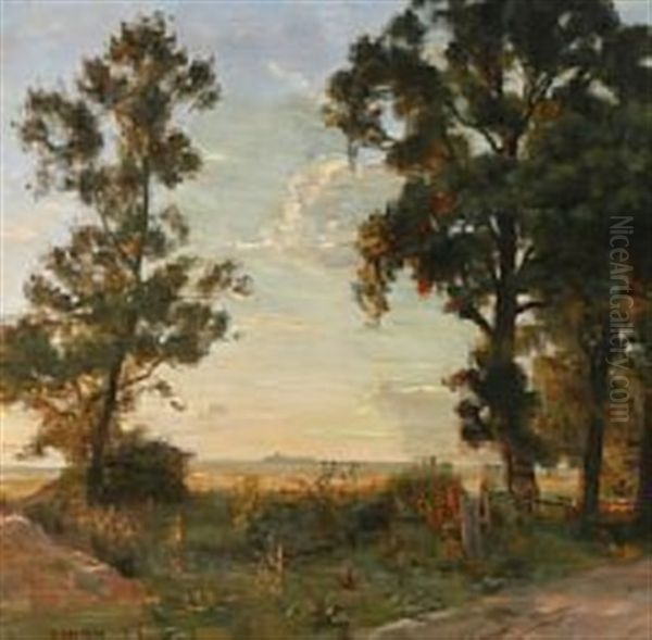 Fra Skovbrynet, Udsigt Over En Eng." View Of The Meadow From The Edge Of The Forest - view 1