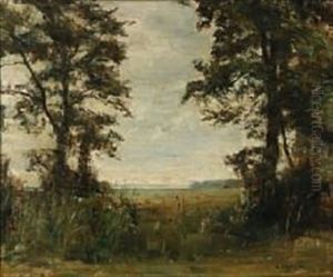 View From A Forest Glade