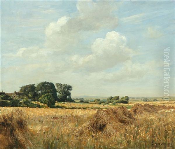 Landskab - view 1