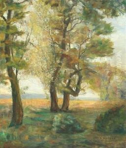 Landscape With Tall Trees By Glade