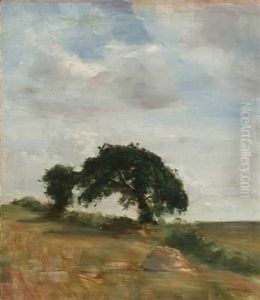 Landscape With Old Trees And High Sky Landscape With Old Trees And High Sky