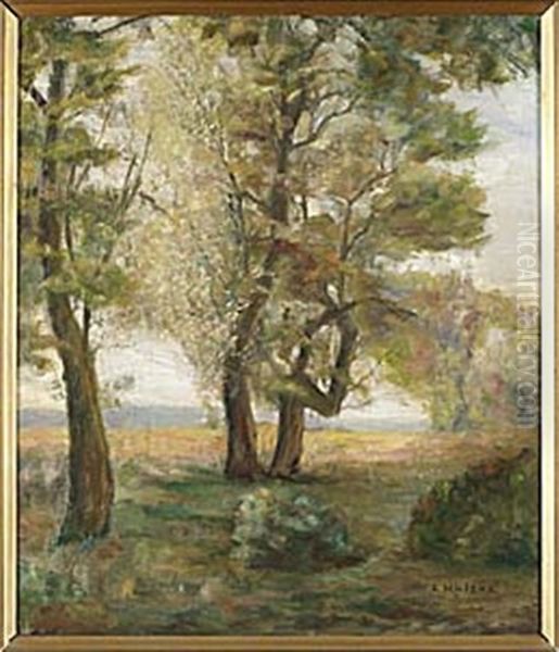 Skogslandskap - view 1