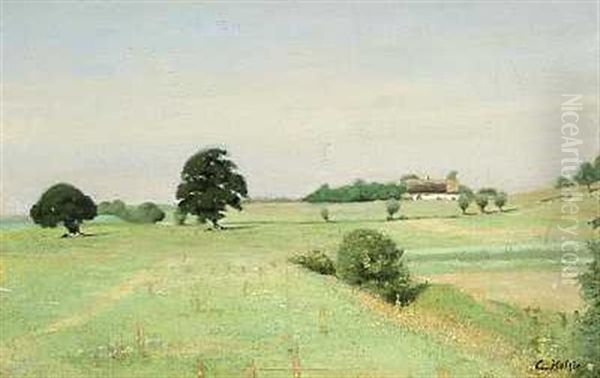 Landskab Nordsjaelland - view 1