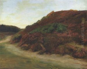 Lyngbevokset Hedebakke Lyngbevokset Hedebakke