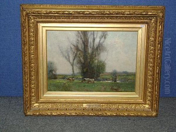 Cattle Watering - view 1