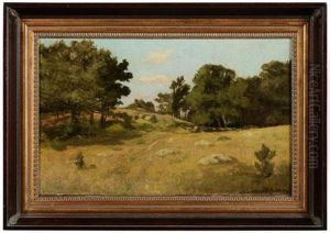 "landscape With Boulders In A Field" by John Noble Barlow
