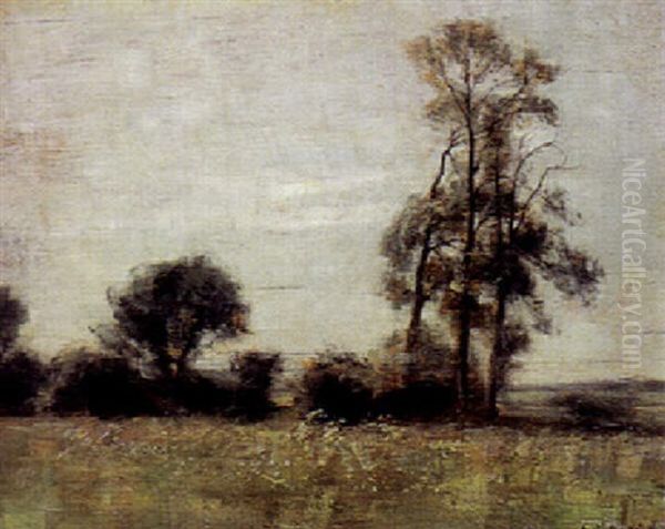 Landskab - view 1