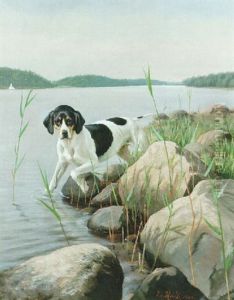Insjolandskap Med Fagelhund Insjolandskap Med Fagelhund