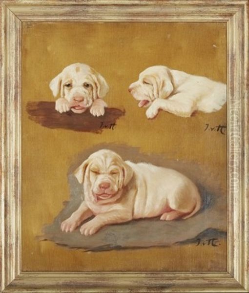 Hundvalpar - view 1