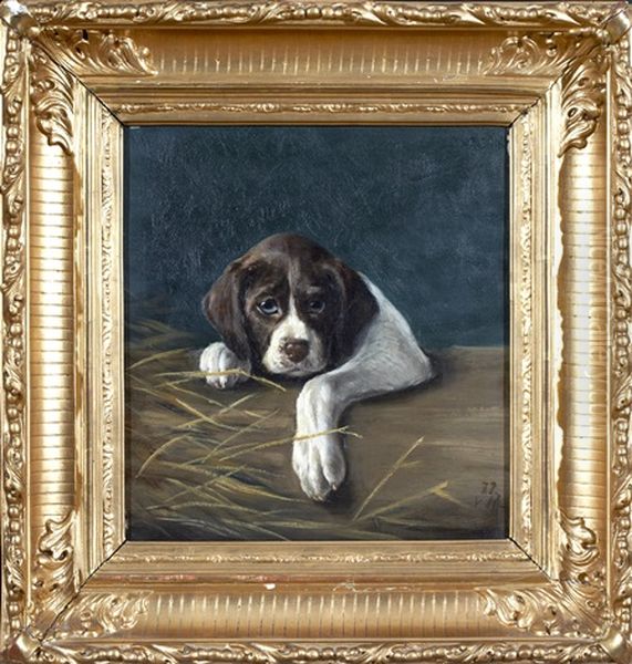 Hundvalp - view 1