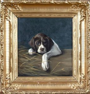 Hundvalp