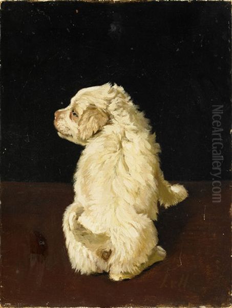 Hundvalp - view 1