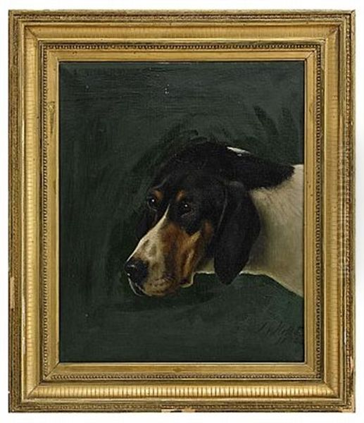 Hund - view 1