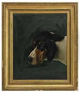 Hund