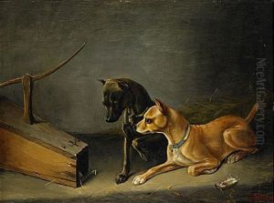 Hundvalpar Vid Rattfalla