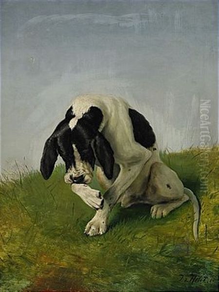 Pointer - view 1