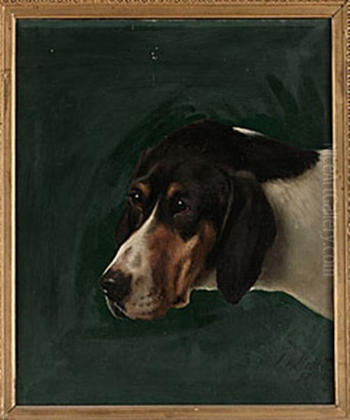 Hunden Lord - view 1