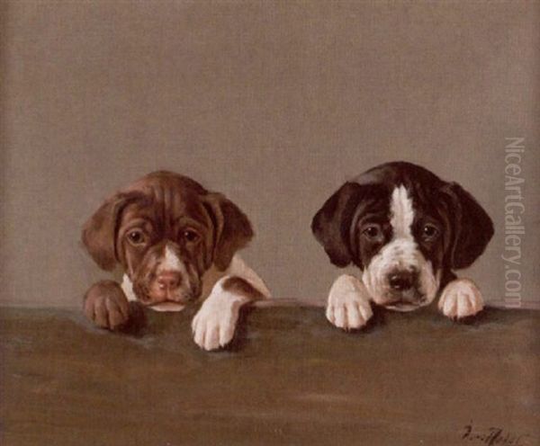 Hundvalpar - view 1