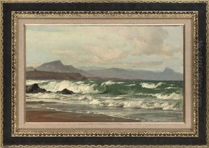 Waves Crashing On A South African Coast