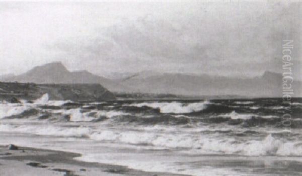 A Coastal Landscape In South Africa - view 1