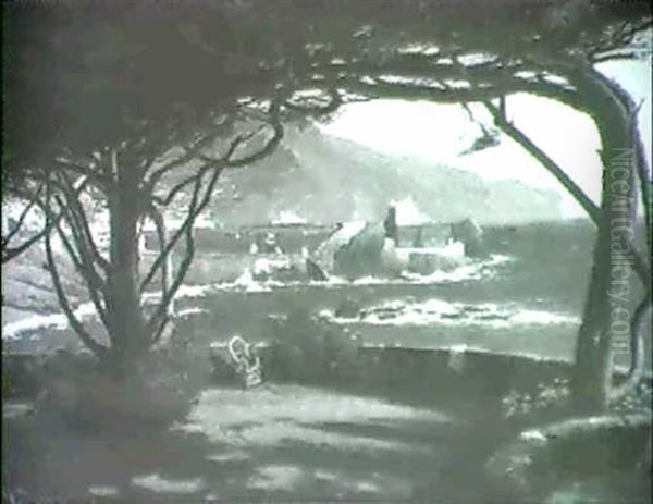 Madeira- From The Terrace Of Reid's Hotel - view 1