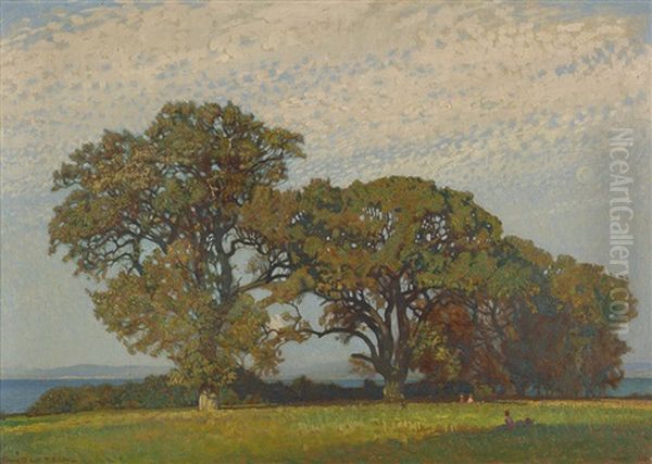 Sonniger Herbstmorgen - Insel Vilm - view 1