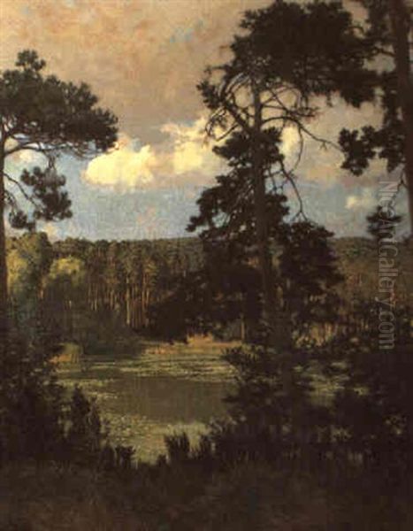 Waldsee Mit Seerosen - view 1