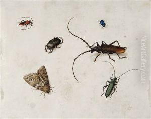 Insektenstudie by Pieter Holsteyn the Elder