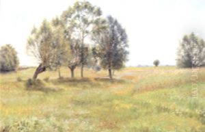 Trees In A Summer Meadow Trees In A Summer Meadow