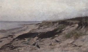Krager Pa Stranden Krager Pa Stranden