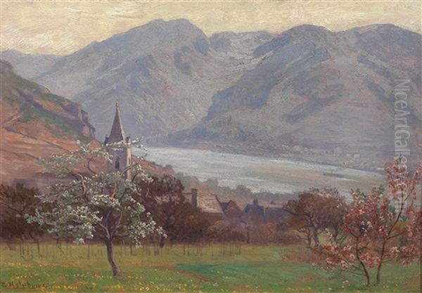 Partie Aus Spitz An Der Donau - view 1