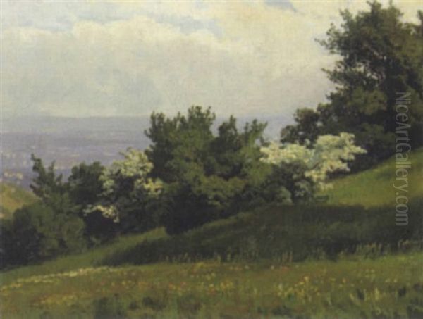 Blick In Eine Weite Landschaft - view 1