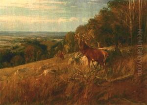Rotwildrudel Am Waldrand Auf Einer Anhohe Mit Blick Uber Weite Felder by Albert Holz