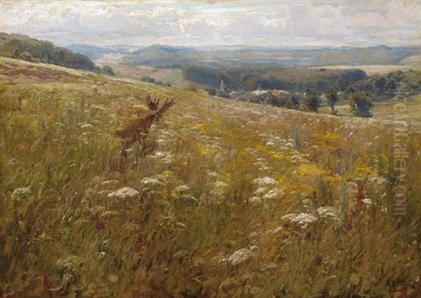 Eifeler Blumenwiese Mit Rehwild - view 1