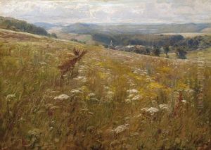Eifeler Blumenwiese Mit Rehwild