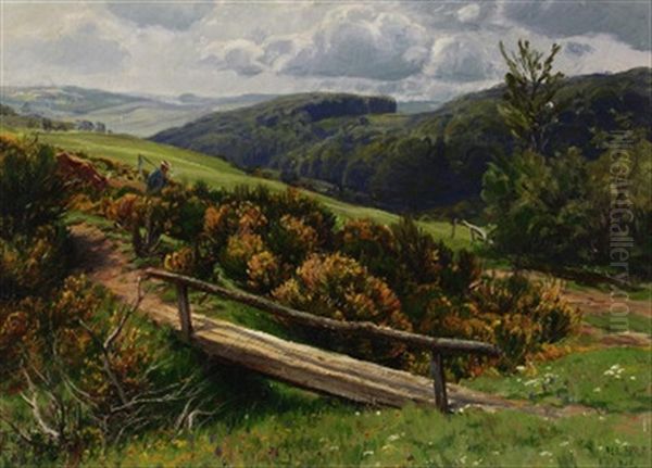 Ginsterblute - view 1