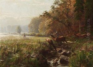 Sonniger Morgen In Der Brunft by Albert Holz
