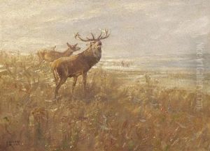 Brunftrudel Im Morgennebel by Albert Holz