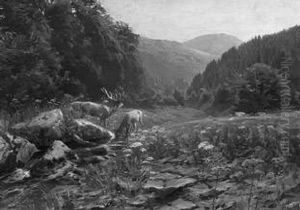 Hirsche In Weitem Flustal by Albert Holz