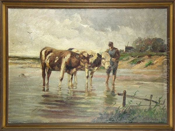 Cattle Bathing - view 1