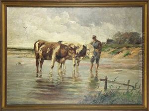 Cattle Bathing