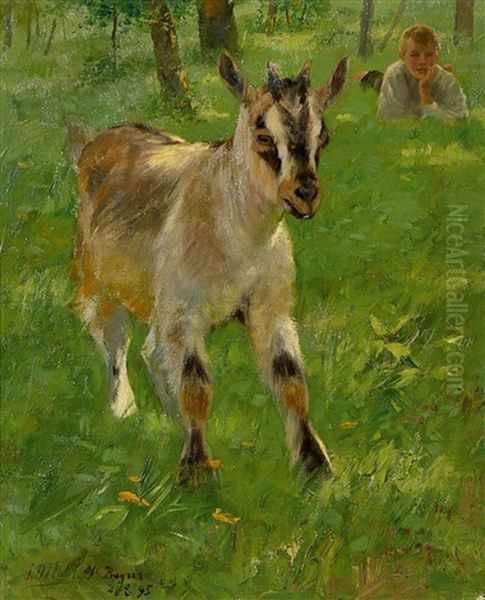 Ziege Und Im Gras Liegender Bub - view 1