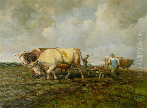 Bauern Mit Ochsengespannen Beim Pflugen - view 1
