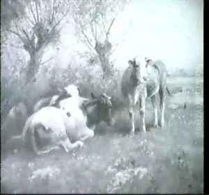 Kuhe In Der Landschaft Kuhe In Der Landschaft
