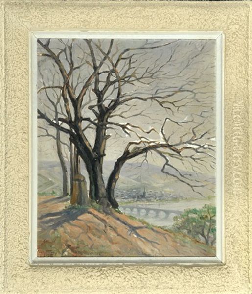 Blick Auf Eine Stadt Am Rhein Mit Brucke - view 1
