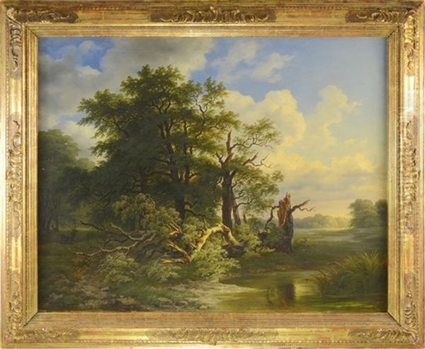 Foodplain Forests - view 1