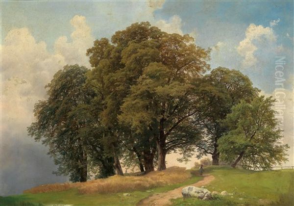 Trees - view 1