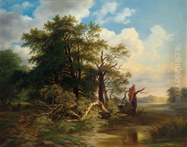 Rotwildrudel In Einer Aulandschaft - view 1