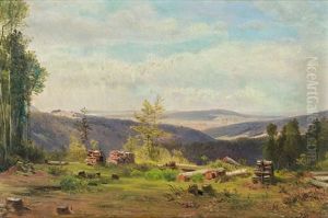 Waldlichtung